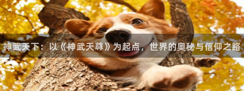 奇漫屋魔咒：神武天下：以《神武天尊》为起点，世界的奥秘与信仰之路